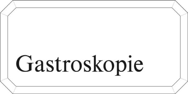 Typ Epsilon 250 x 125 mm Gastroskopie